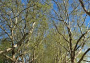 UTW Kutno 20250425_164247bis.jpg